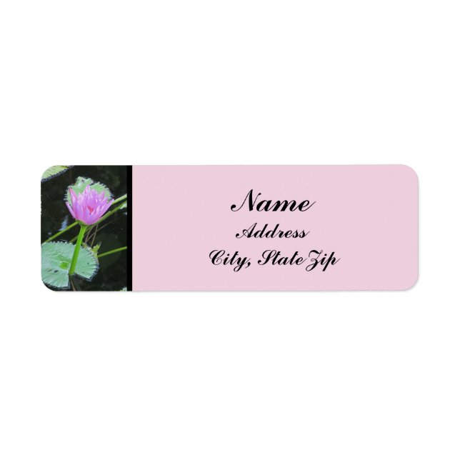 Water Lily Photo Beautiful Pink Purple Bloom Label (Front)
