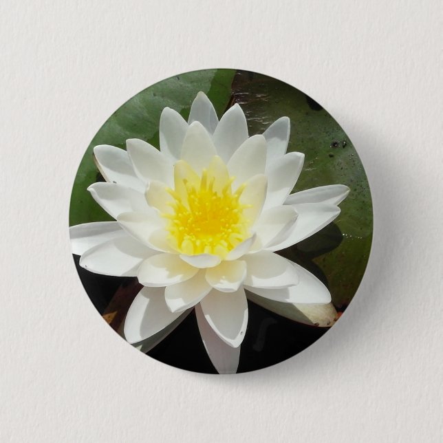 Water Lily Pinback Button (Front)