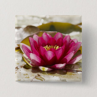 Water lily pinback button