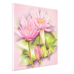 Water lily pink canvas fine art print