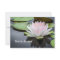 Water Lily Pink Floral Photo Bridal Shower