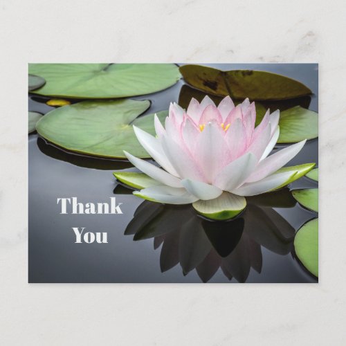 Water Lily Pink Floral Photo Thank You Postcard