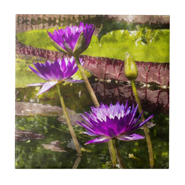Water Lily Pond Ceramic Tile (Front)