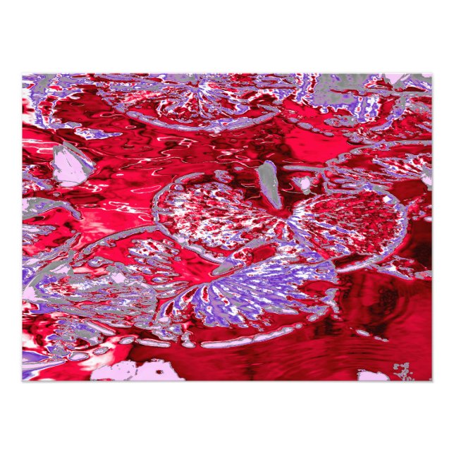 WATER LILY POND PHOTO PRINT (Front)