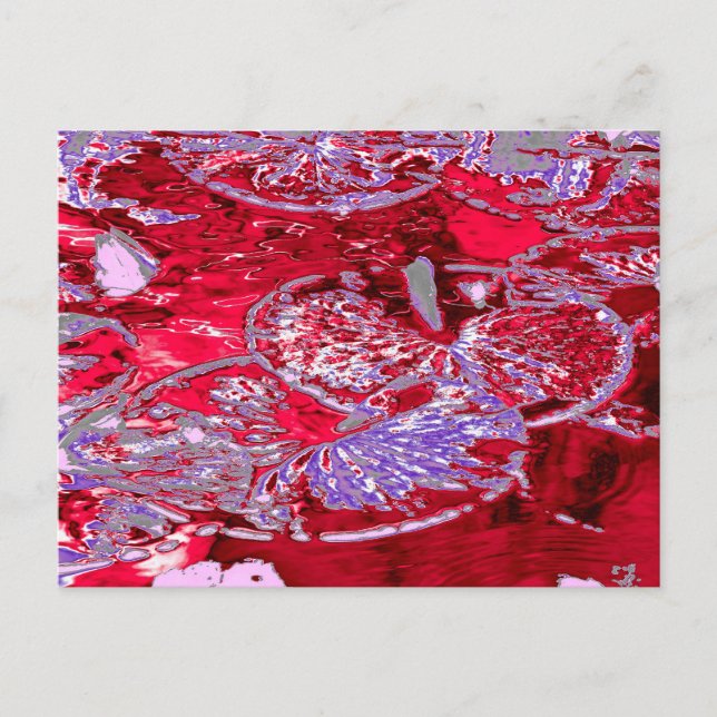 WATER LILY POND POSTCARD (Front)