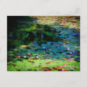Water-Lily Pond :Postcard Postcard