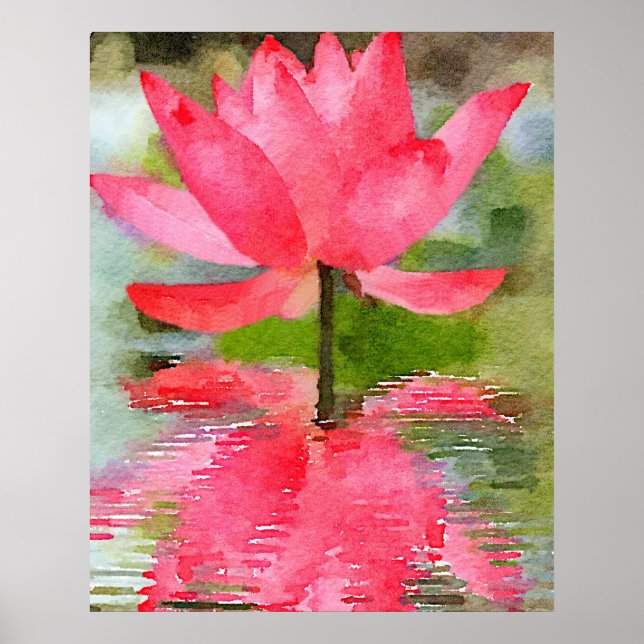Water Lily Poster (Front)