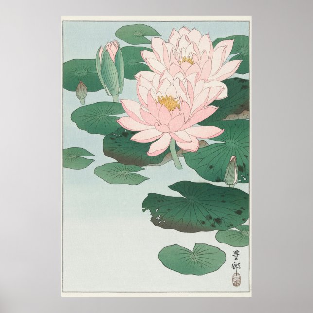 Water Lily Poster (Front)