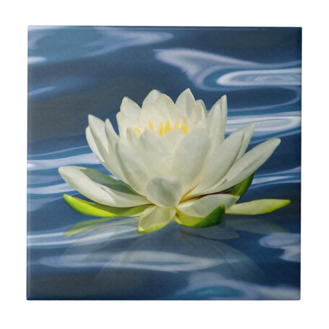 Water Lily Reflected on Blue Water Tile (Front)