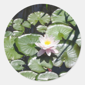 Water lily series classic round sticker