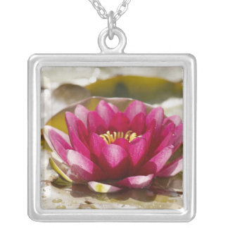 Water lily silver plated necklace
