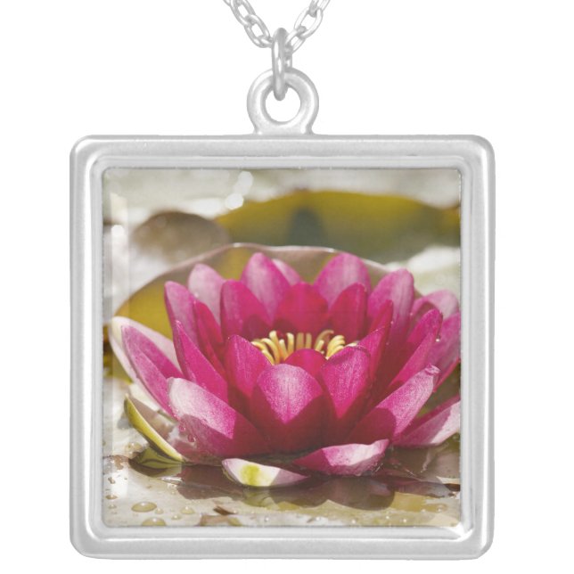 Water lily silver plated necklace (Front)