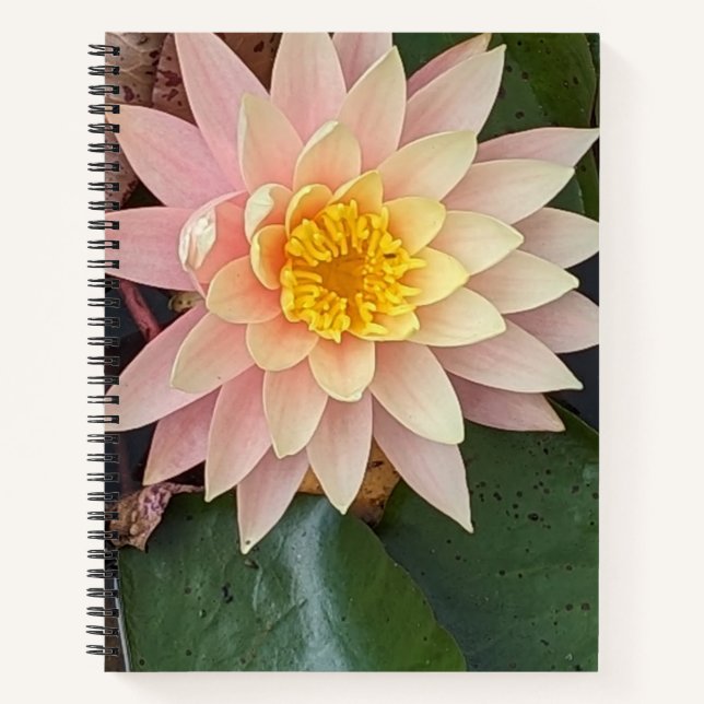 Water Lily Spiral Notebook (Front)