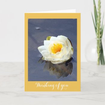 Water Lily Thinking Of You Card by Considernature at Zazzle