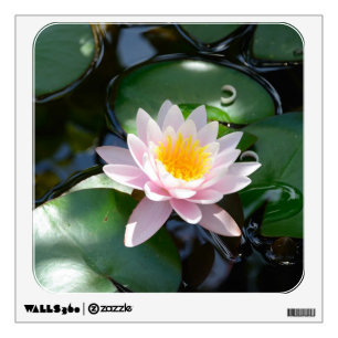 water lily Wall Decal
