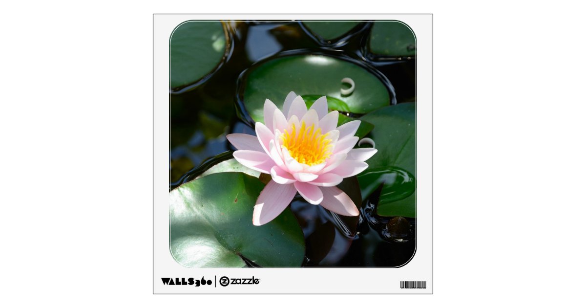 Water Lily Wall Decal 