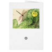 water-lily watercolor (Back)