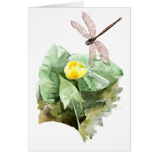 water-lily watercolor cards (Front)