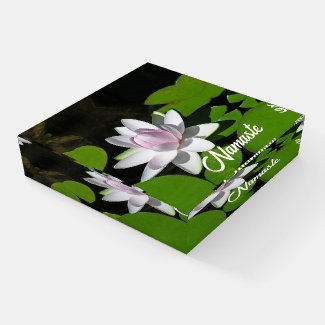 WATER LILY WHITE WITH TINGES OF LAVENDER-PINK 