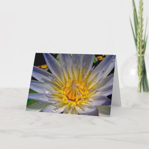 Water Lily with Prayer Sympathy Card
