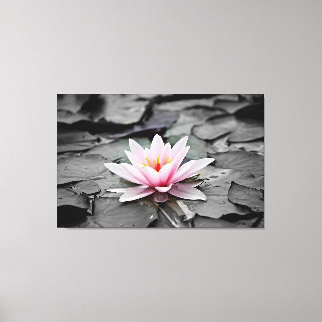 water lily wrapped canvas print (Front)