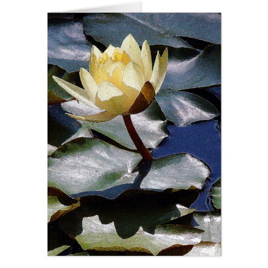 Water Lotus Flower Card (Front)