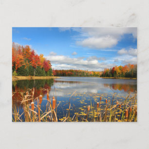 Water Mabel Lake Canada Postcard