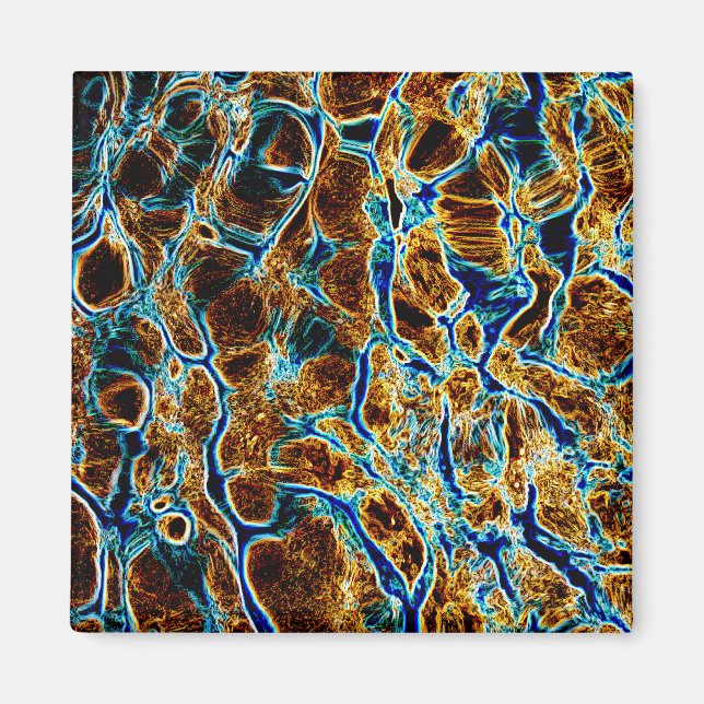 WATER MAGNET (Front)