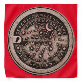 Water Meter, NOLA, Bandana