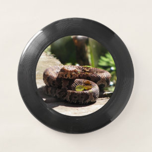 Water Moccasin / Cottonmouth Snake- Wham-O Frisbee