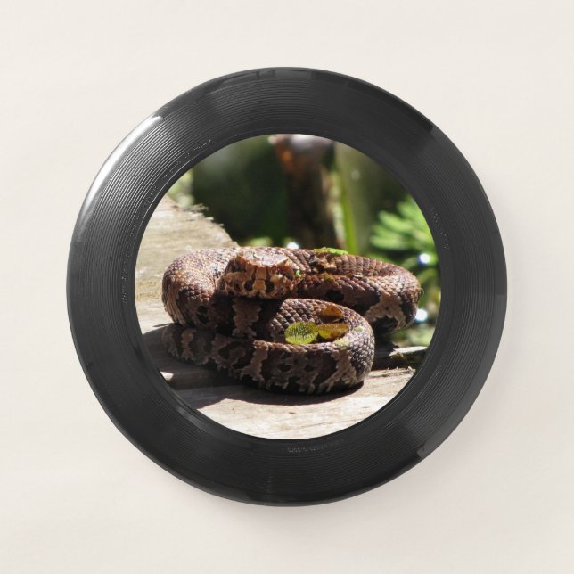 Water Moccasin / Cottonmouth Snake- Wham-O Frisbee (Front)