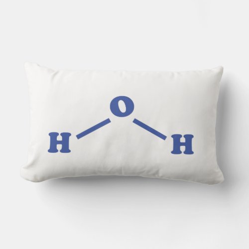 Water Molecular Chemical Formula Lumbar Pillow