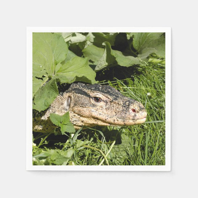 Water monitor lizard napkins (Front)