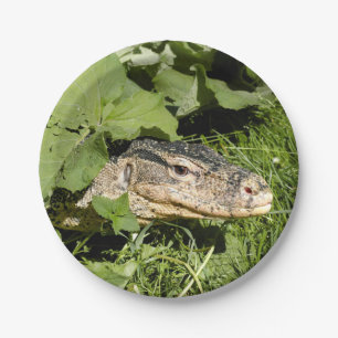 Water monitor lizard paper plates