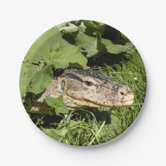 Water monitor lizard paper plates
