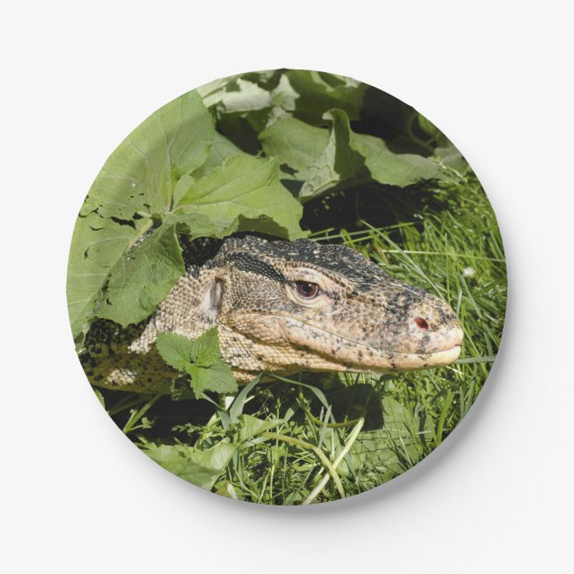 Water monitor lizard paper plates (Front)