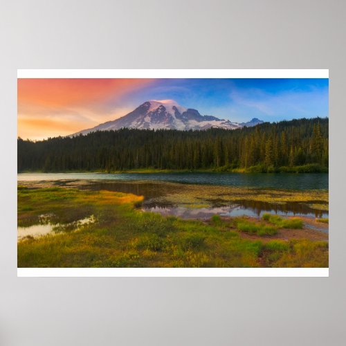 Water  Mt Rainier National Park Washington Poster