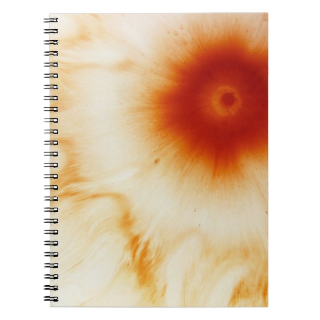 Water  notebook (Front)