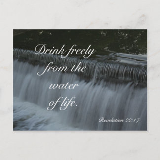 Water of Life Postcard