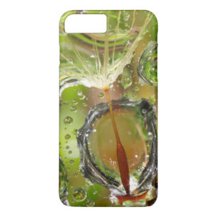 Water on dandelion seed, CA iPhone 8 Plus/7 Plus Case