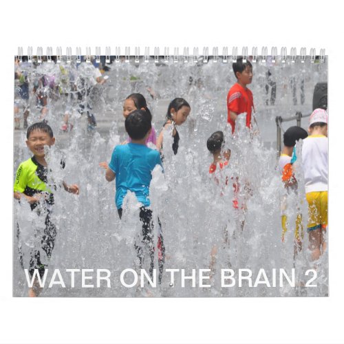 Water on the Brain 2 Calendar