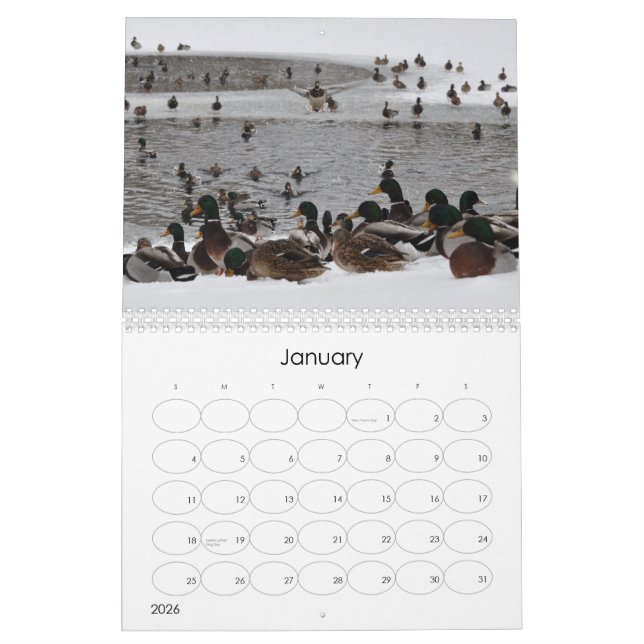 Water on the Brain 2 Calendar (Jan 2026)