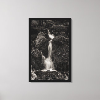 Water Over Moss Canvas Print