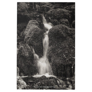 Water Over Moss Metal Print