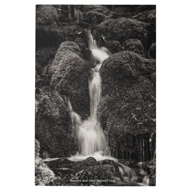 Water Over Moss Metal Print (Front)