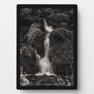 Water Over Moss Plaque
