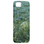 Water over Sea Grass I Blue and Green Nature Photo iPhone SE/5/5s Case