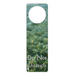 Water over Sea Grass I Caribbean Nature Door Hanger