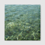 Water over Sea Grass I Caribbean Nature Magnet