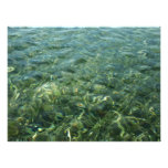 Water over Sea Grass I Caribbean Nature Photo Print